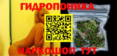 PSILOCYBIN Краснознаменск